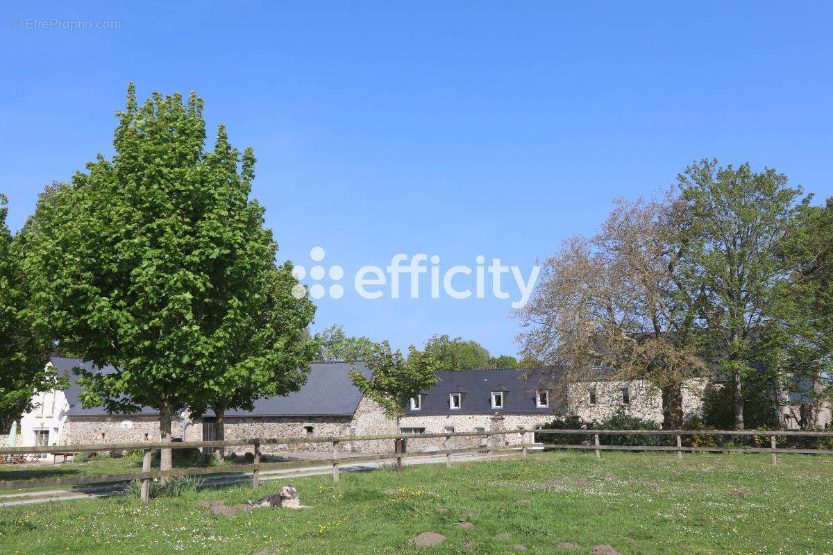 Maison 450 m² à Blainville-Sur-Mer  - photo 12