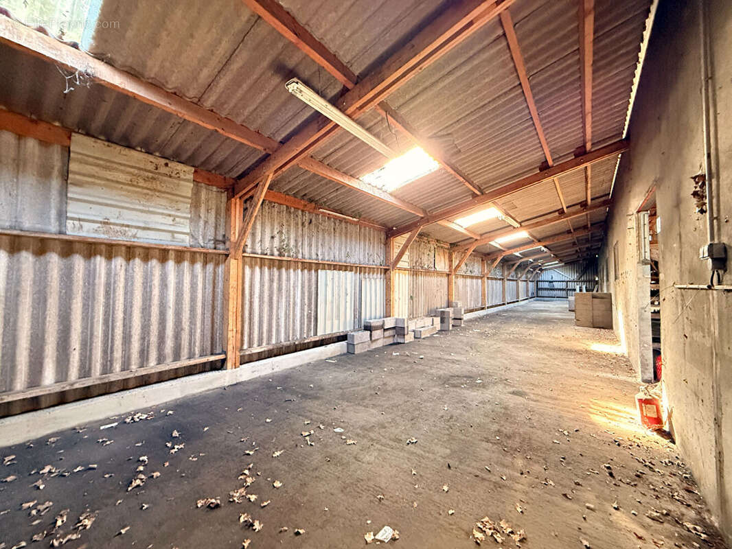 Entrepôt / local industriel Moult Chicheboville 488.55 m2 - photo 8