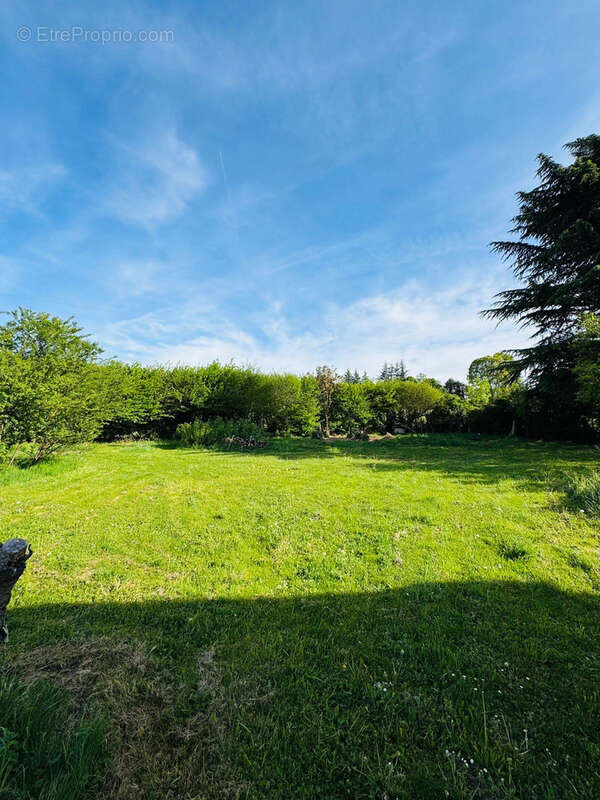 Terrain à BRIE-ET-ANGONNES