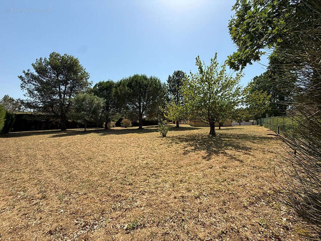 Maison plain-pied Montlegun 190 m² sur vaste terrain arboré avec terrasse et garage indépendant - photo 6
