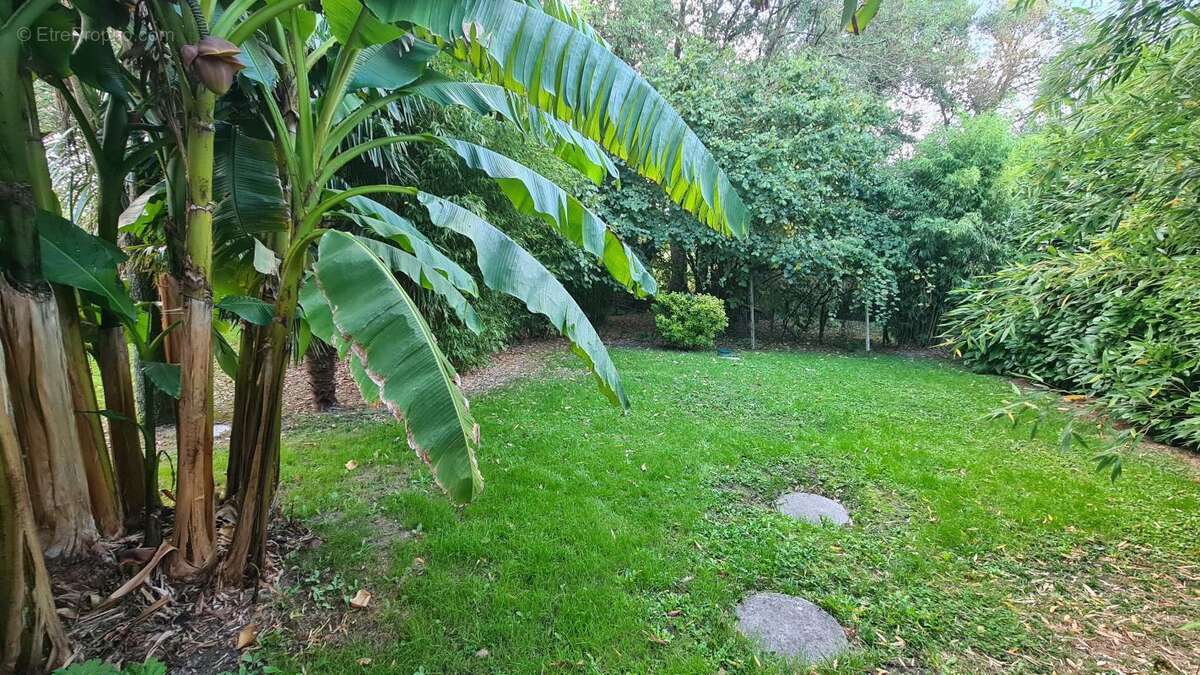 Maison à SAINTE-PAZANNE