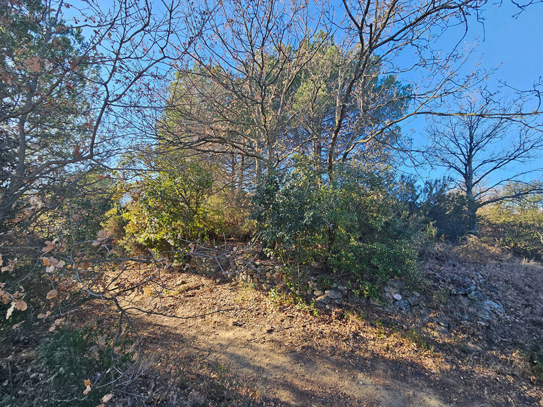 Terrain à VILLELONGUE-DELS-MONTS