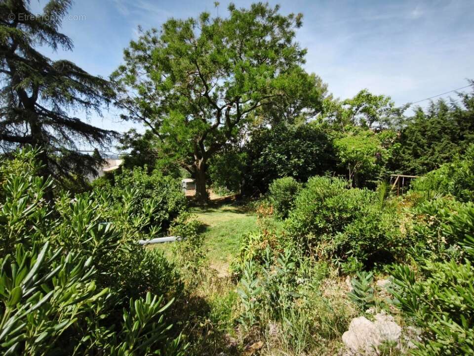 Terrain 653 m² à Toulon  - photo 3