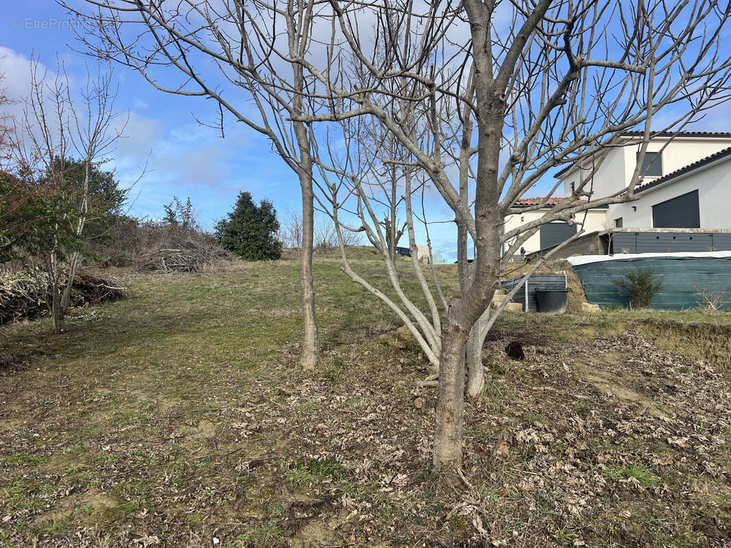 Exclusivite  - secteur limoux - terrain sur cailhau 11240 - 2550m2 libre de toute construction - photo 7