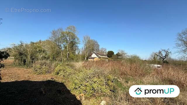 Terrain à BUIRE-COURCELLES