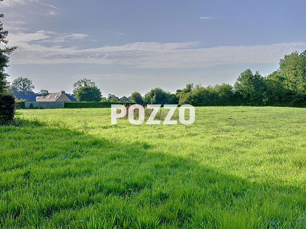 Maison à COUDEVILLE-SUR-MER