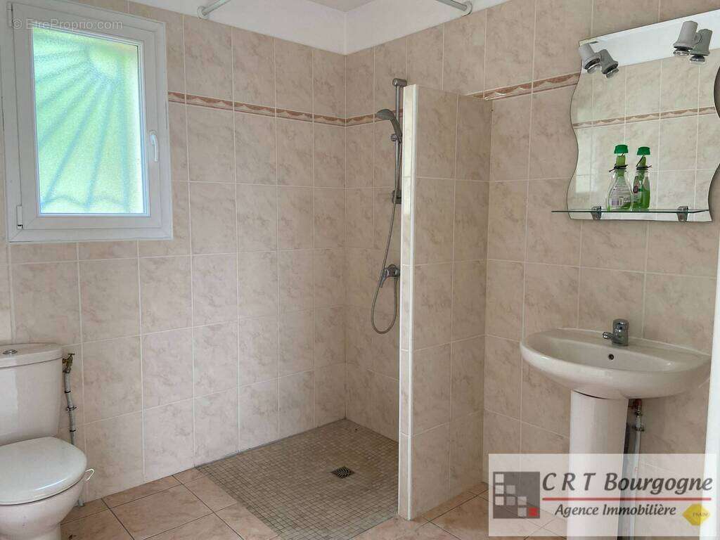 Maison à SAINT-SAUVEUR-EN-PUISAYE