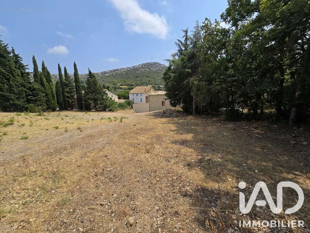 Terrain 2953 m² à Feuilla  - photo 7