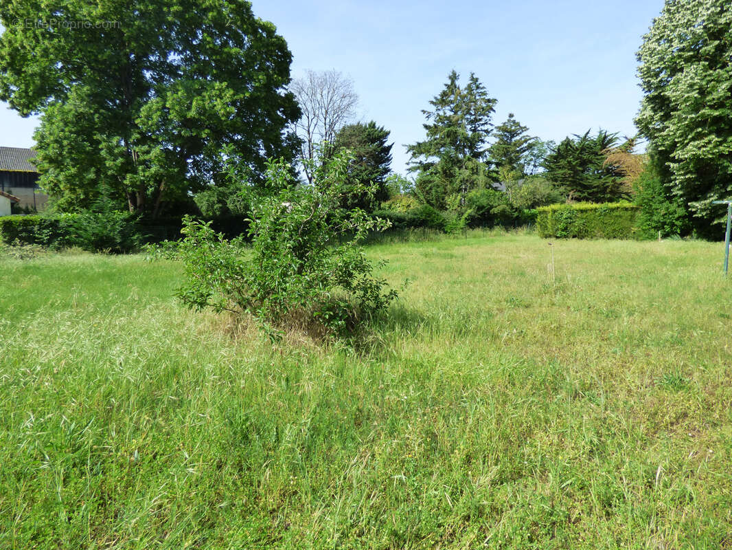 Terrain à JAUNAY-CLAN