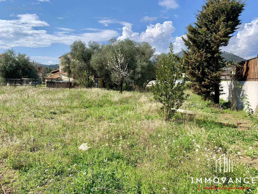 Terrain à SAINT-MATHIEU-DE-TREVIERS