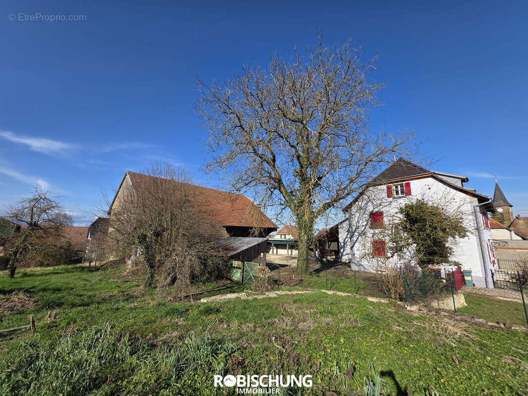 Maison à EGLINGEN