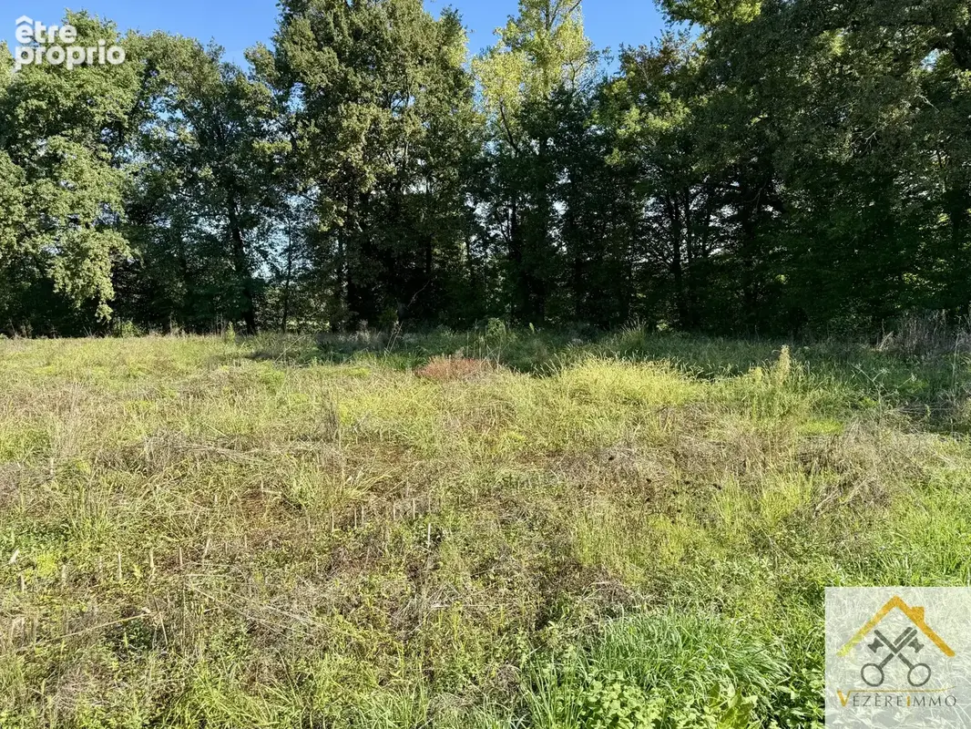 Terrain avec 2 lots à bâtir 4600 m2 - photo 8