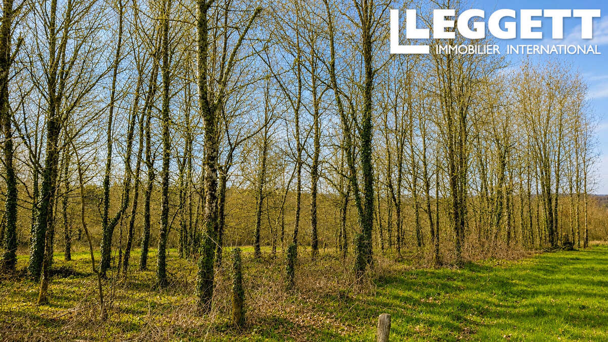 Beau terrain avec une grange en ruine avec CU - photo 10