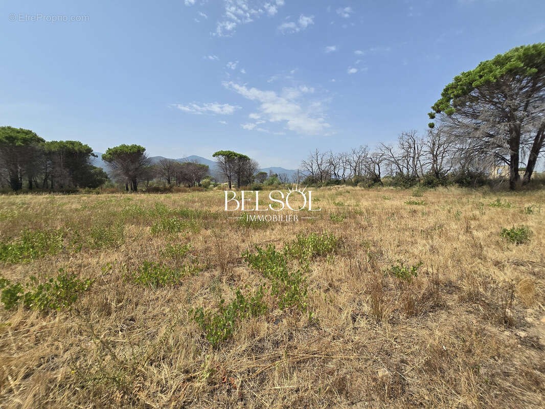 Terrain 4340 m² à Argeles-Sur-Mer  - photo 3