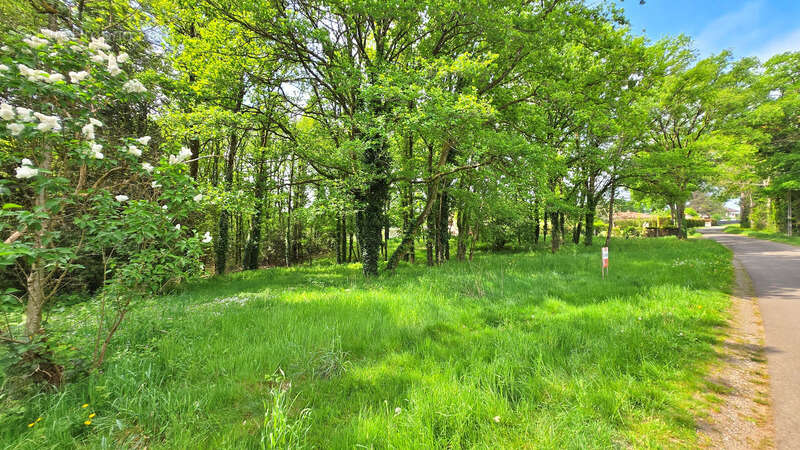 Terrain à SAINT-JUNIEN