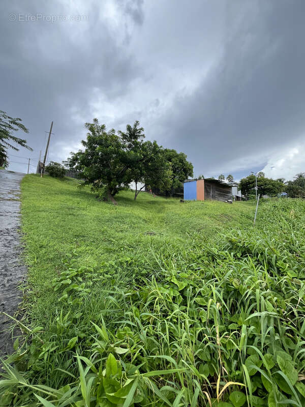 Terrain à RIVIERE-PILOTE