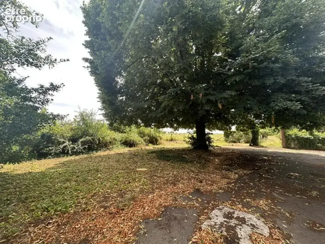 Maison 8 pièces 171 m² à vendre à Orgeres-En-Beauce (28140) - photo 7