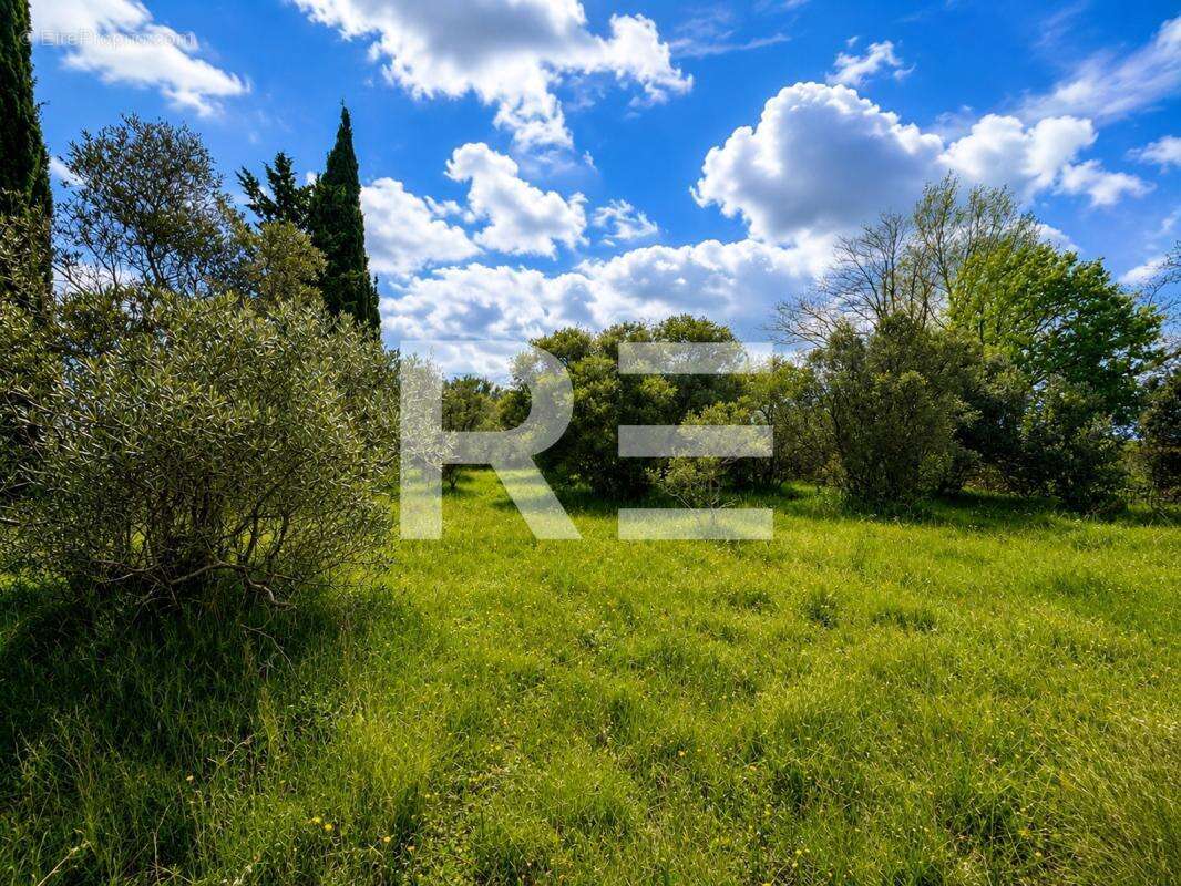 Terrain a batir + villa a construire - secteur exceptionnel! - photo 5