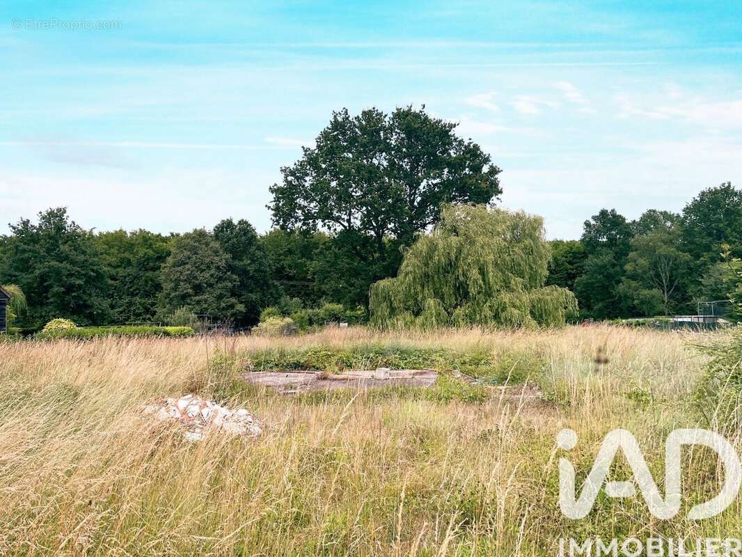 Photo 2 - Terrain à NOGENT-SUR-VERNISSON