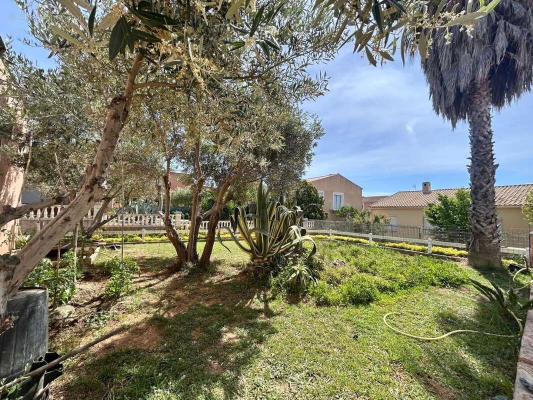 Maison à FRONTIGNAN