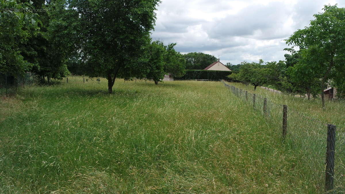 Terrain à bâtir 782 m² - photo 6