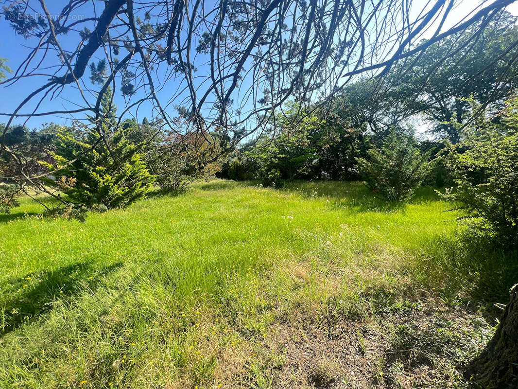 Appartement à MONTRABE