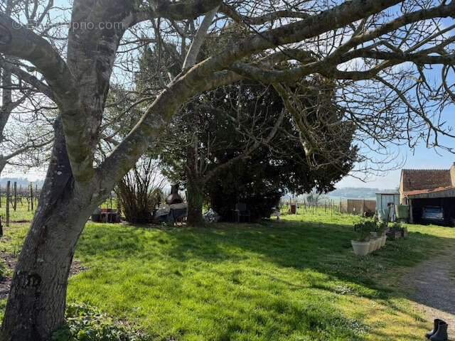 Maison à SAINT-THOMAS-DE-CONAC