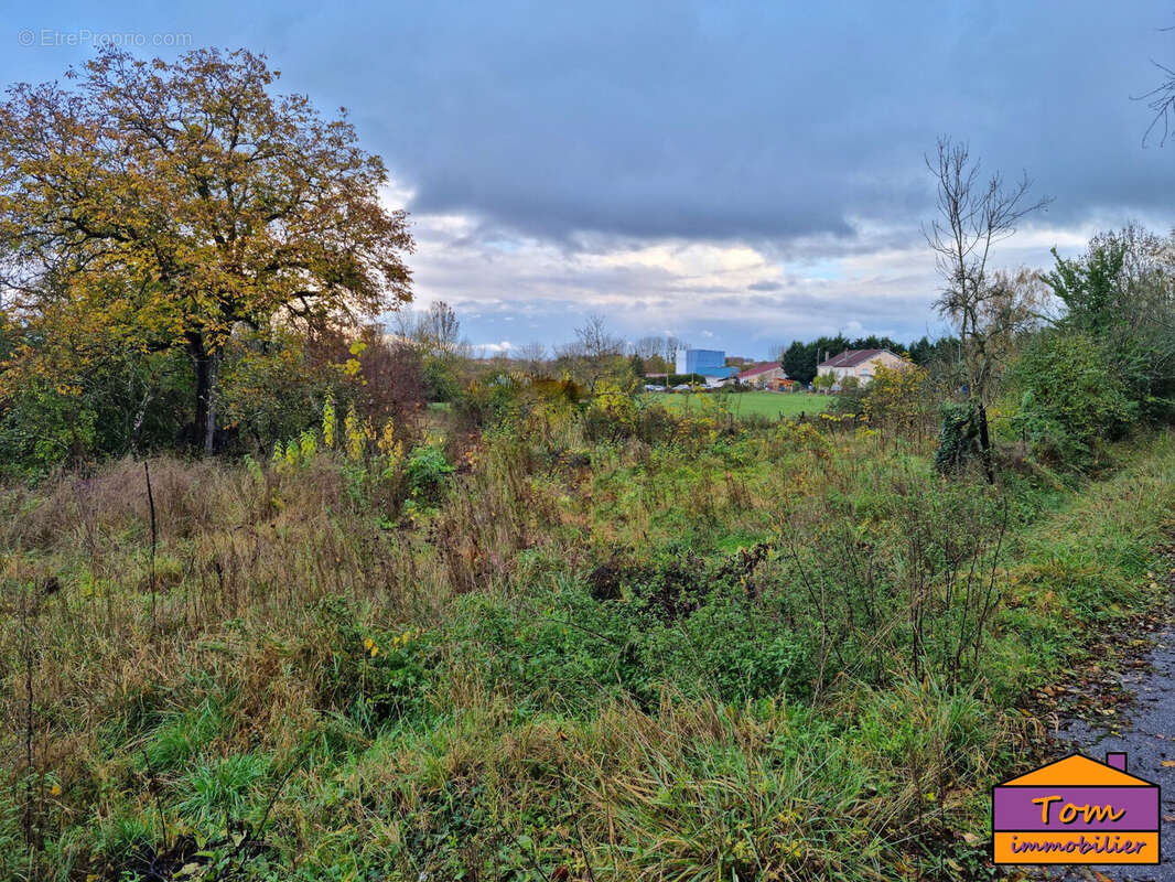 Terrain à LUNEVILLE