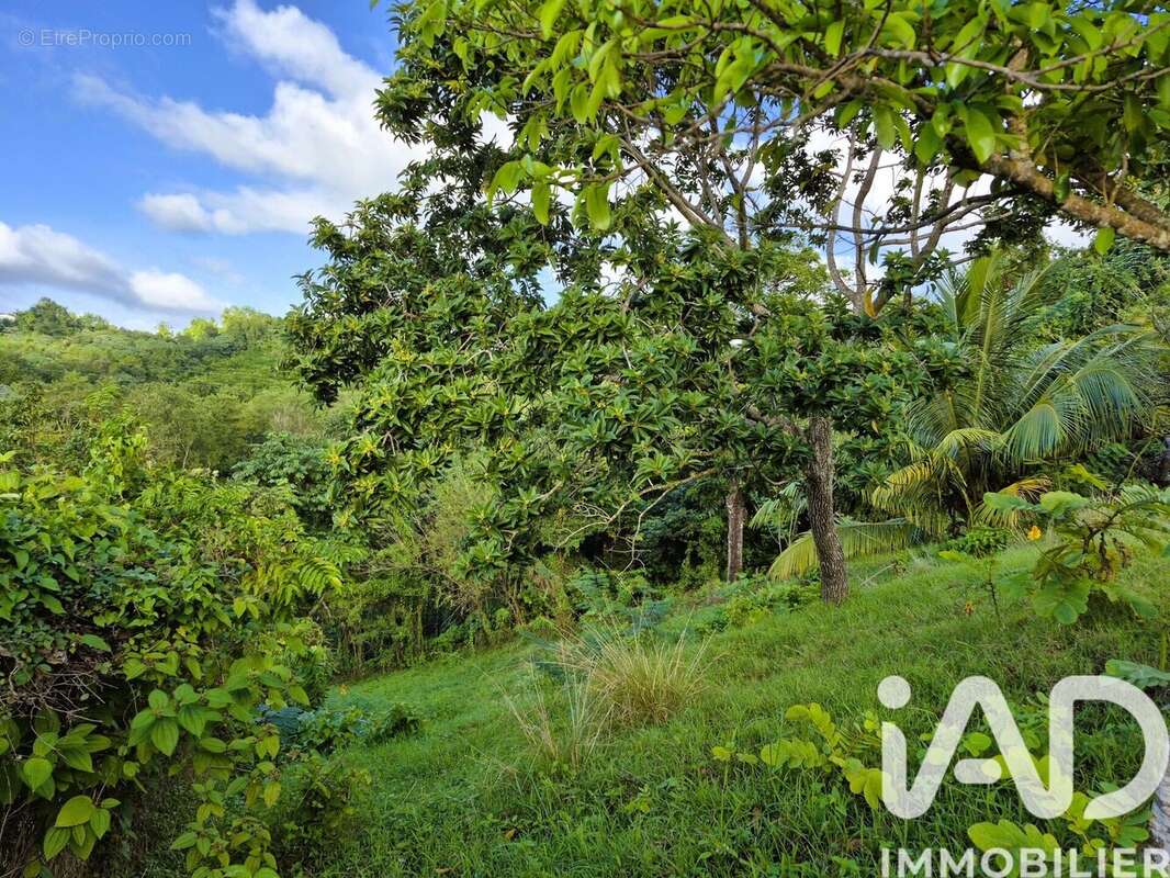 Photo 2 - Terrain à DUCOS