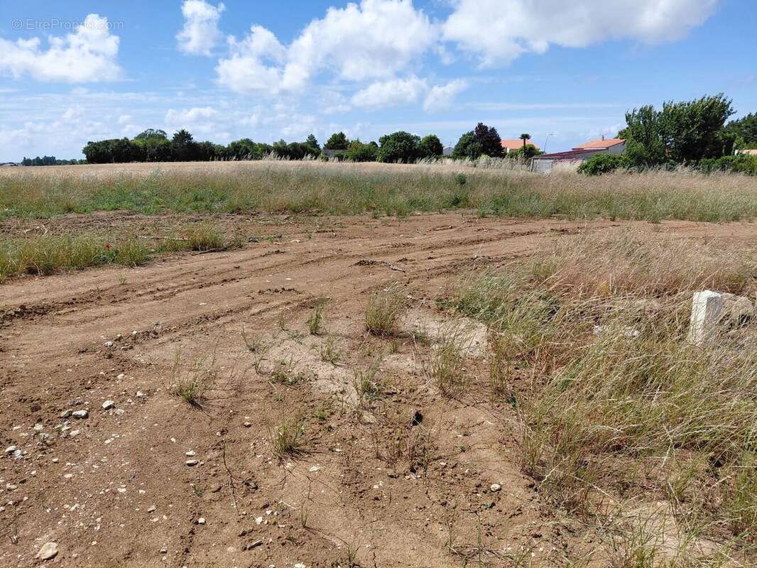 Terrain à bâtir de 390 m² à SAINT-NAZAIRE-SUR-CHARENTE (17) - photo 4