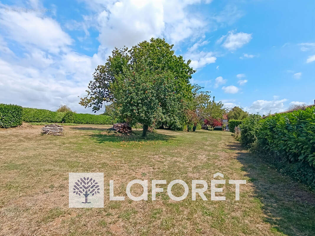 Maison à MAZEROLLES