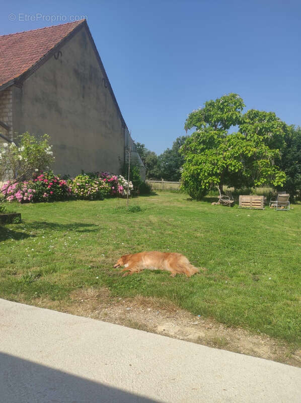Maison à LA CHAPELLE-SAINT-SAUVEUR