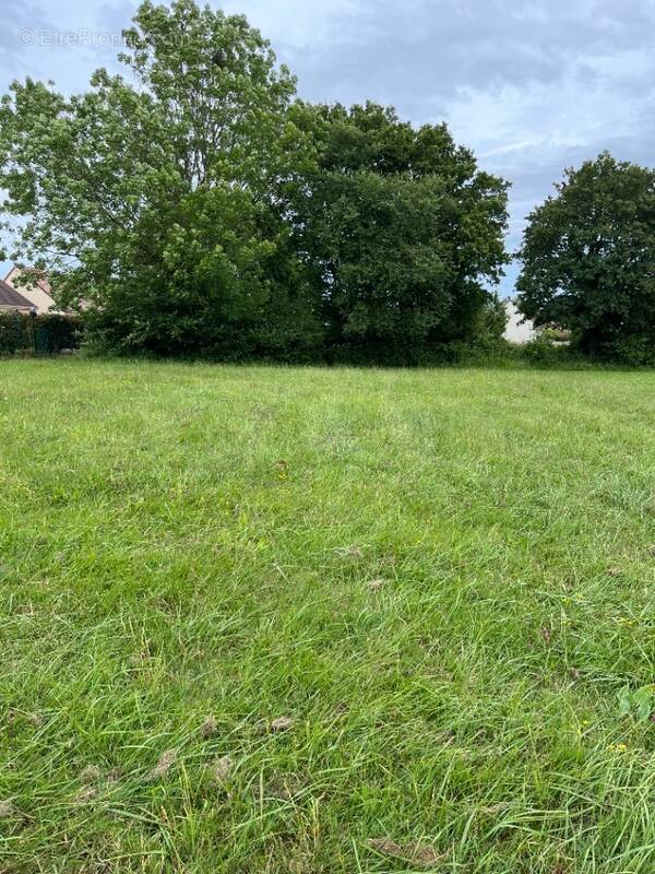 Terrain à DOUCELLES