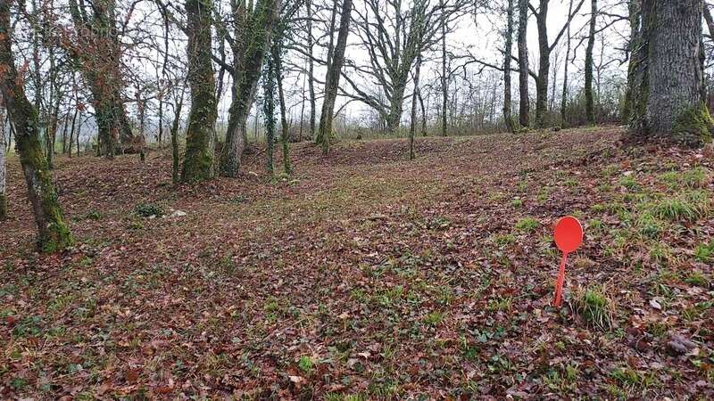 Terrain à vendre de 1 255,00 m² BALADOU (46) - photo 5