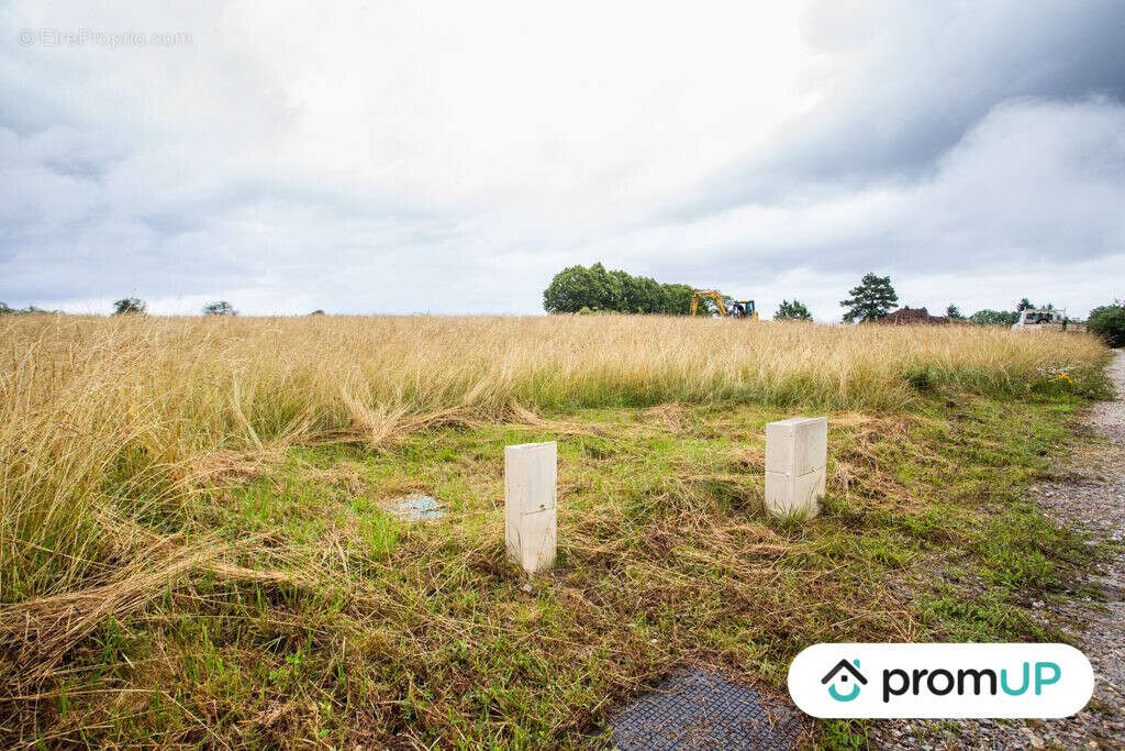 Terrain à BRIVE-LA-GAILLARDE
