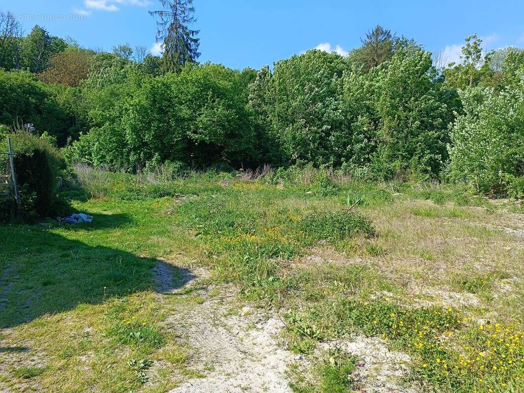 Terrain à FONTAINE-SUR-SOMME