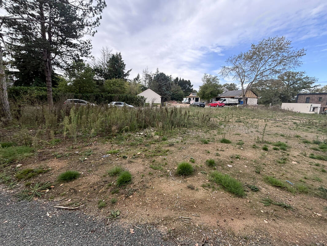 Terrain à MONTREUIL-JUIGNE