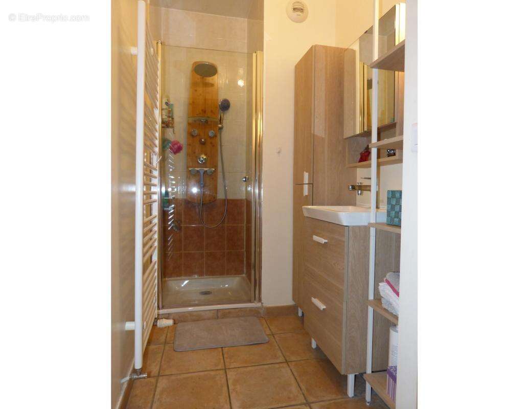 Appartement à SCIONZIER