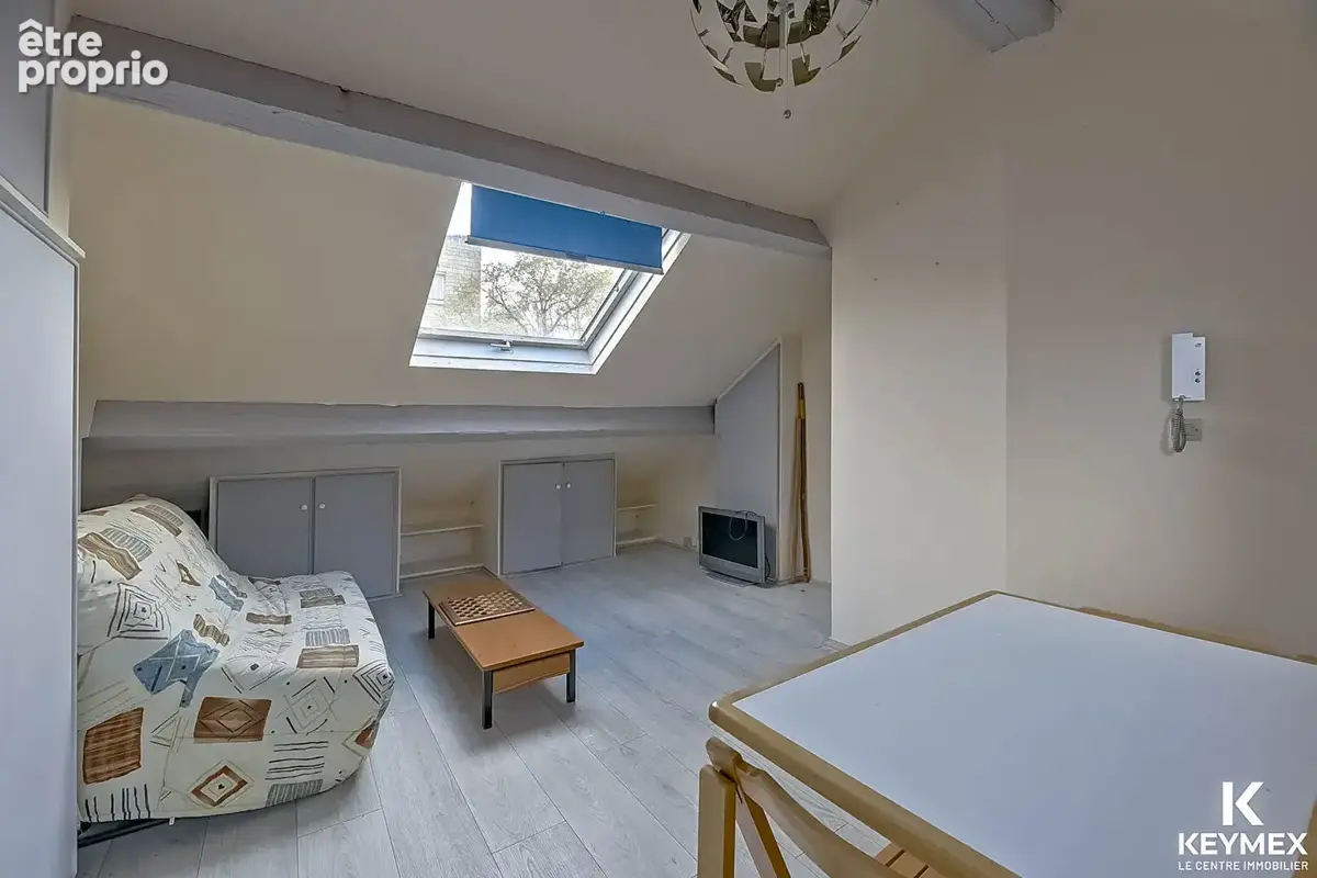 Appartement L Isle Adam 1 pièce 13.85 m2 - photo 2
