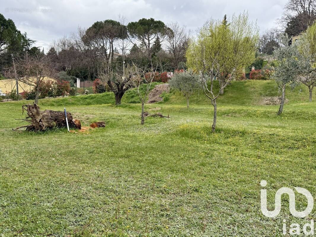 Photo 1 - Terrain à MALAUCENE