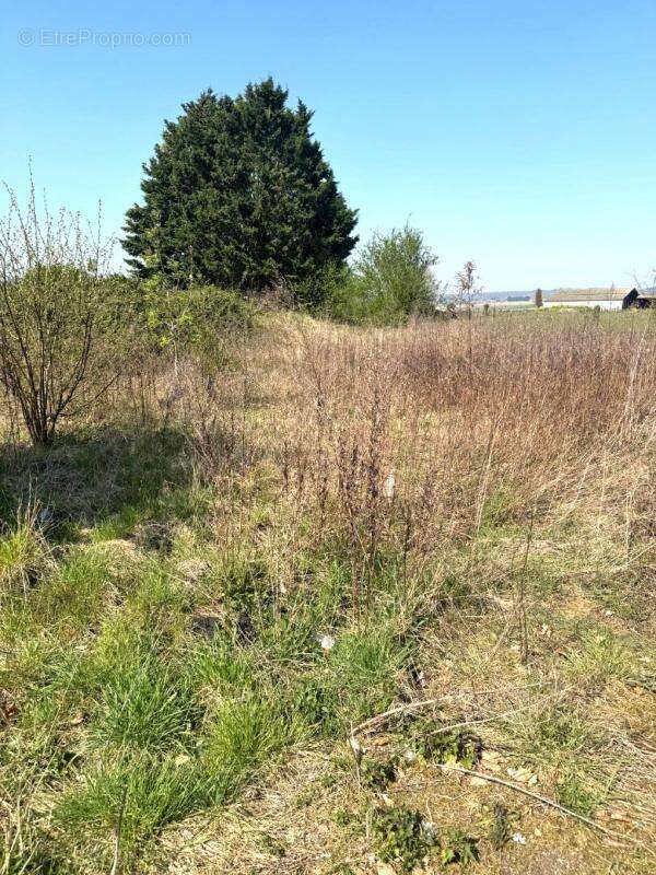 Terrain à MAREST-DAMPCOURT