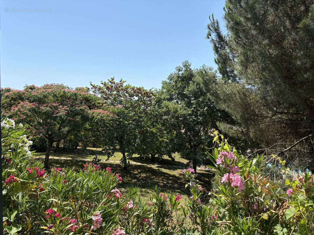 Genis Magnifique propriété Périgourdine avec gite, piscine, parc et vues - photo 24