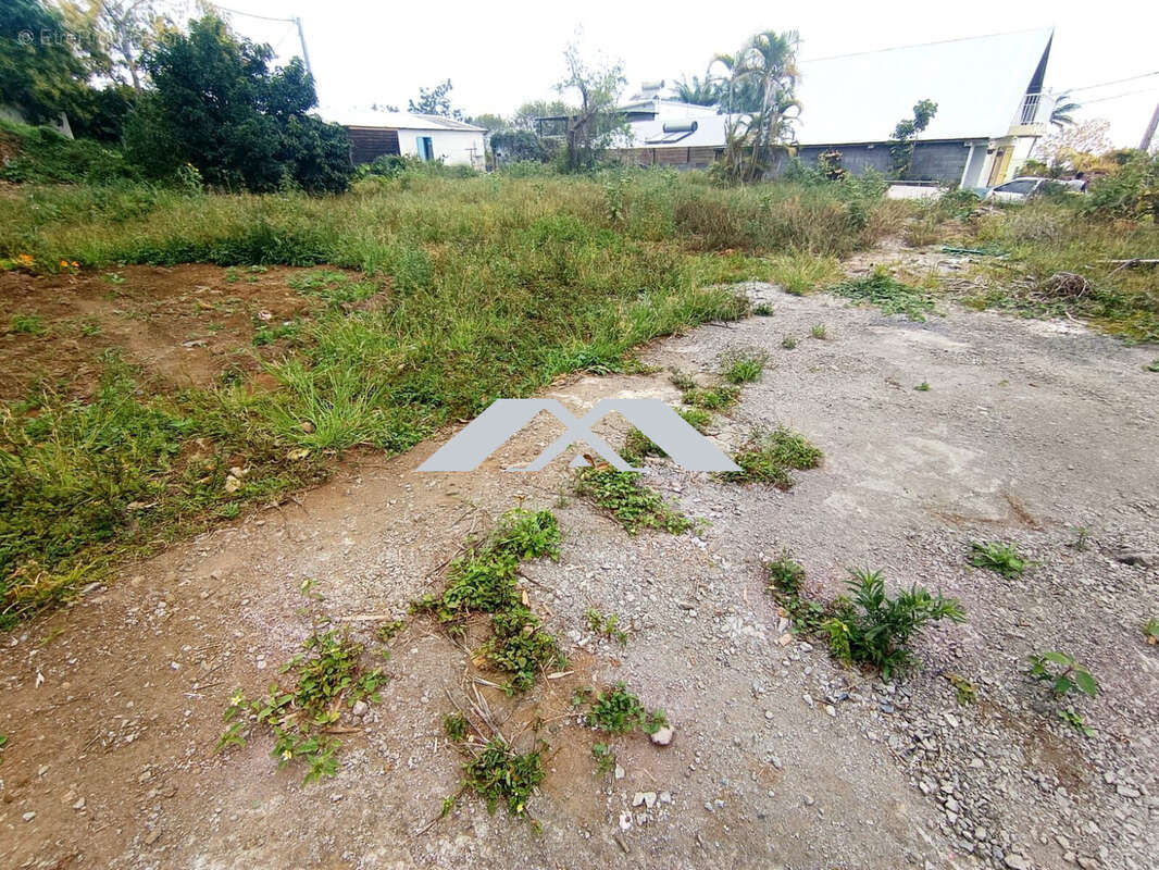 Terrain à LE TAMPON