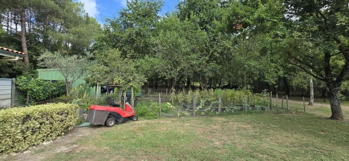 Maison en vente à terme occupée à St Vivien De Medoc 122 m2 sur terrain de 3871m2 - photo 5