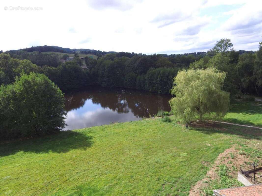 Photo 3 - Maison à LA PACAUDIERE