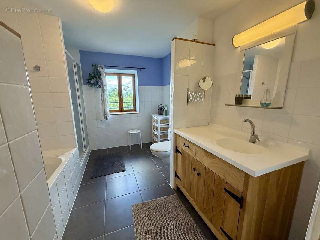 Grand ensemble, entièrement isolé avec 1,4 hectare à vendre près de Remilly - photo 24