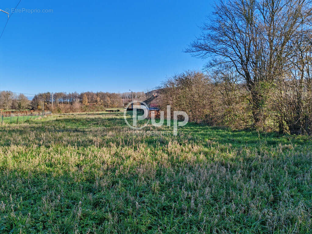 Terrain à ESCOEUILLES