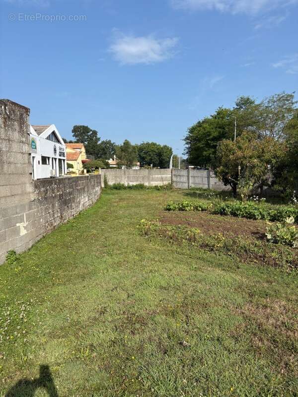 Terrain à SAINT-VIAUD