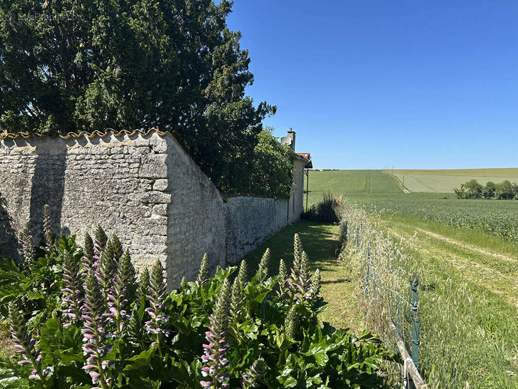 Maison à SAINT-PIERRE-DE-JUILLERS