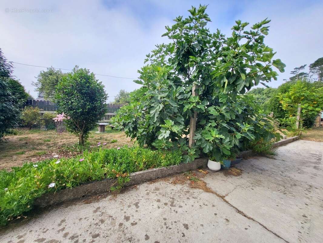 Maison à vendre 4 pièces ROSCANVEL (29) - photo 27